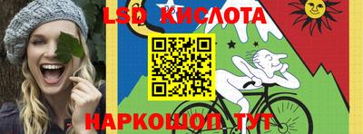 меф Гатчина