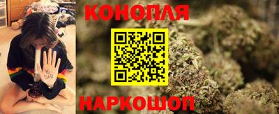меф Гатчина