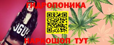мяу мяу мука Гай