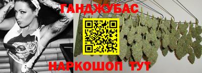 меф Гатчина