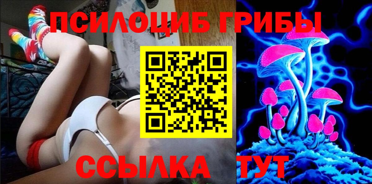 Псилоцибиновые грибы Psilocybine cubensis Лангепас